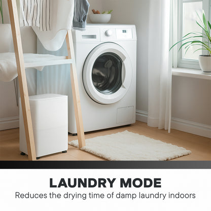 Daewoo 12L/Day Dehumidifiers for Home 3 Operation Modes and User Friendly with LED Display With Indicators, Continuous Drainage, 24 Hour Timer, Ideal for Laundry Room, Basement, Bedroom, Bathroom