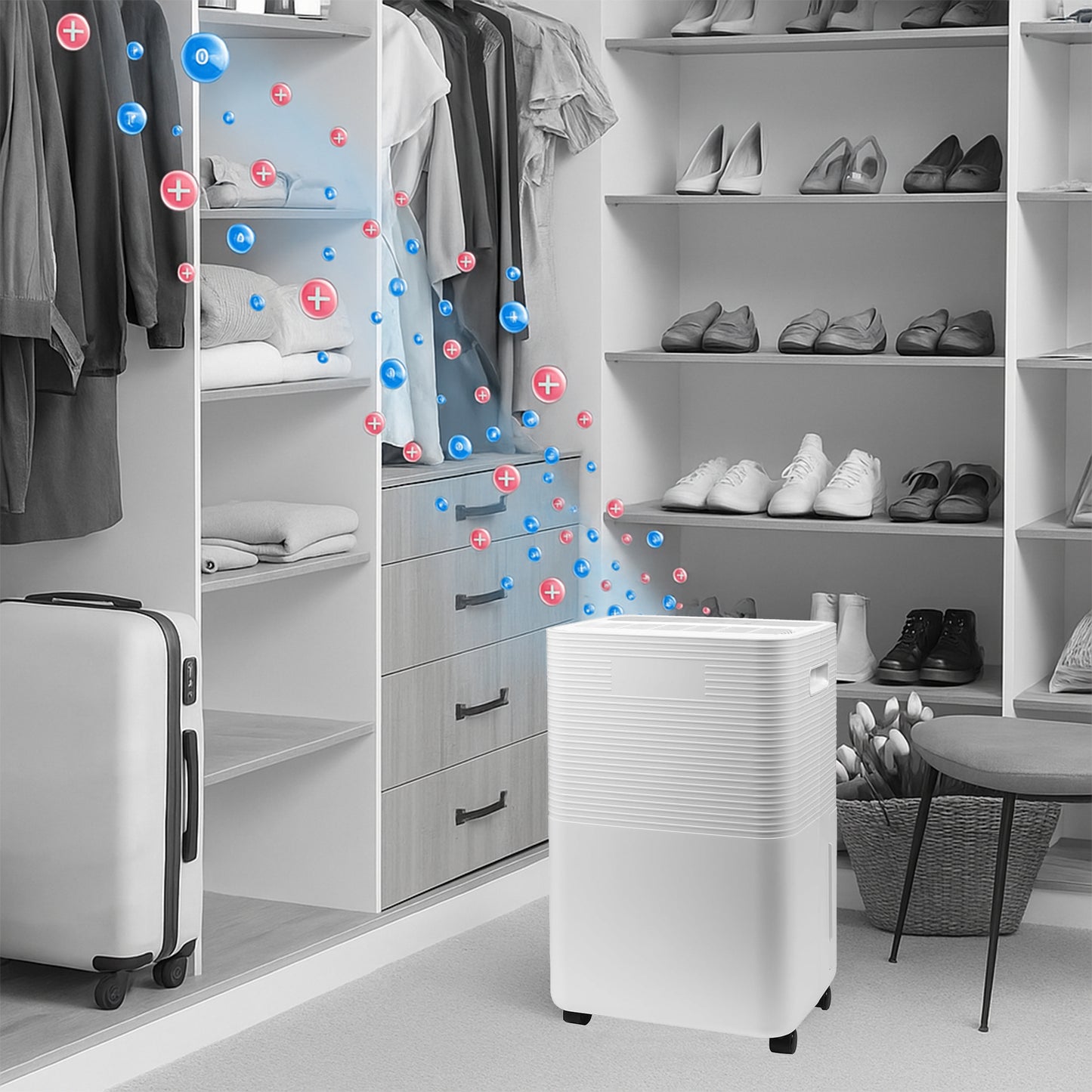 Daewoo 12L/Day Dehumidifiers for Home 3 Operation Modes and User Friendly with LED Display With Indicators, Continuous Drainage, 24 Hour Timer, Ideal for Laundry Room, Basement, Bedroom, Bathroom