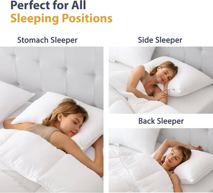 LUXTROUS Luxury Goose Feather and Down Pillow Pair with 100% Cotton Cover 2 Pack Pillows with Dual Layer Cover - Goose Down with Downproof, Soft Quality Feather 85% Goose Feather 15% Goose Down