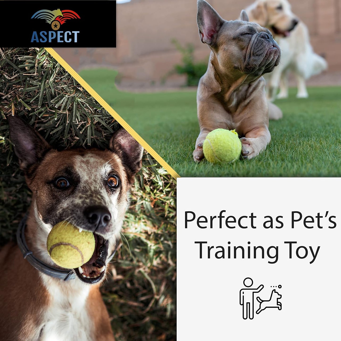 Aspect Practice Tennis Balls, Pressure less Training Exercise Tennis Balls with Easy Transport bag, Soft Rubber Tennis Balls Perfect for Beginners Training Lessons Pet Dog Playing Balls