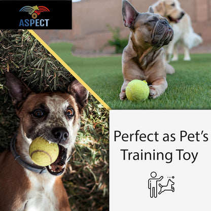 Aspect Practice Tennis Balls, Pressure less Training Exercise Tennis Balls with Easy Transport bag, Soft Rubber Tennis Balls Perfect for Beginners Training Lessons Pet Dog Playing Balls