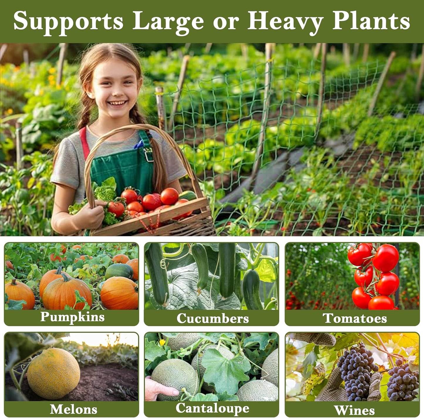 Fine Garden Netting, Plant, Veg, Fruit and Ponds Protection, Cat and Bird Proof Garden Net, Versatile Fine Mesh Garden Netting, Garden Fence Netting, Garden Accessories (1 Pack,10x2M