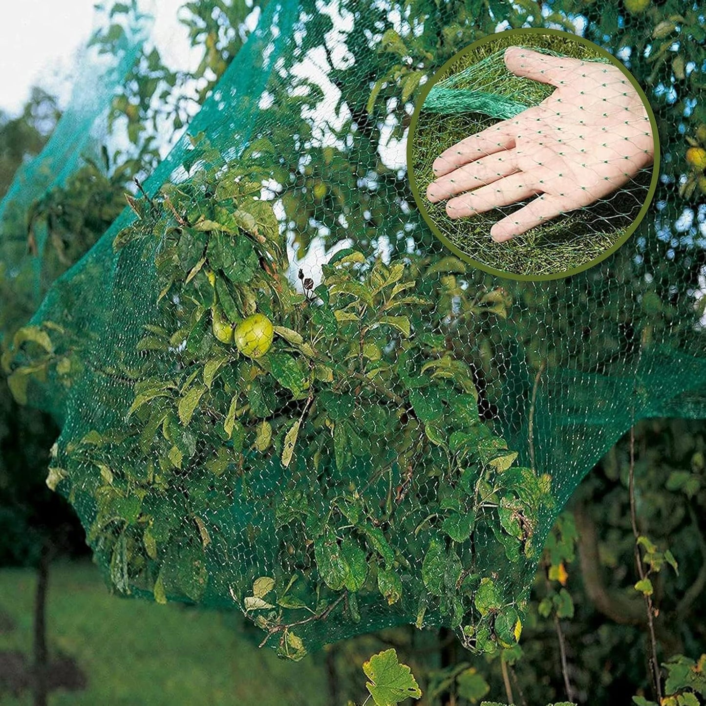 Fine Garden Netting, Plant, Veg, Fruit and Ponds Protection, Cat and Bird Proof Garden Net, Versatile Fine Mesh Garden Netting, Garden Fence Netting, Garden Accessories (1 Pack,10x2M