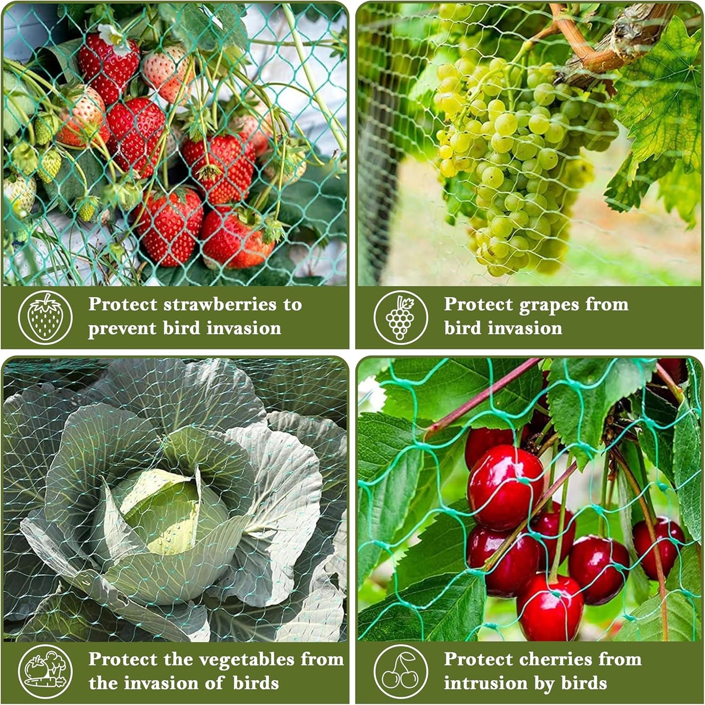 Fine Garden Netting, Plant, Veg, Fruit and Ponds Protection, Cat and Bird Proof Garden Net, Versatile Fine Mesh Garden Netting, Garden Fence Netting, Garden Accessories (1 Pack,10x2M