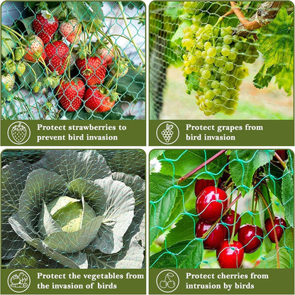 Fine Garden Netting, Plant, Veg, Fruit and Ponds Protection, Cat and Bird Proof Garden Net, Versatile Fine Mesh Garden Netting, Garden Fence Netting, Garden Accessories (1 Pack,10x2M