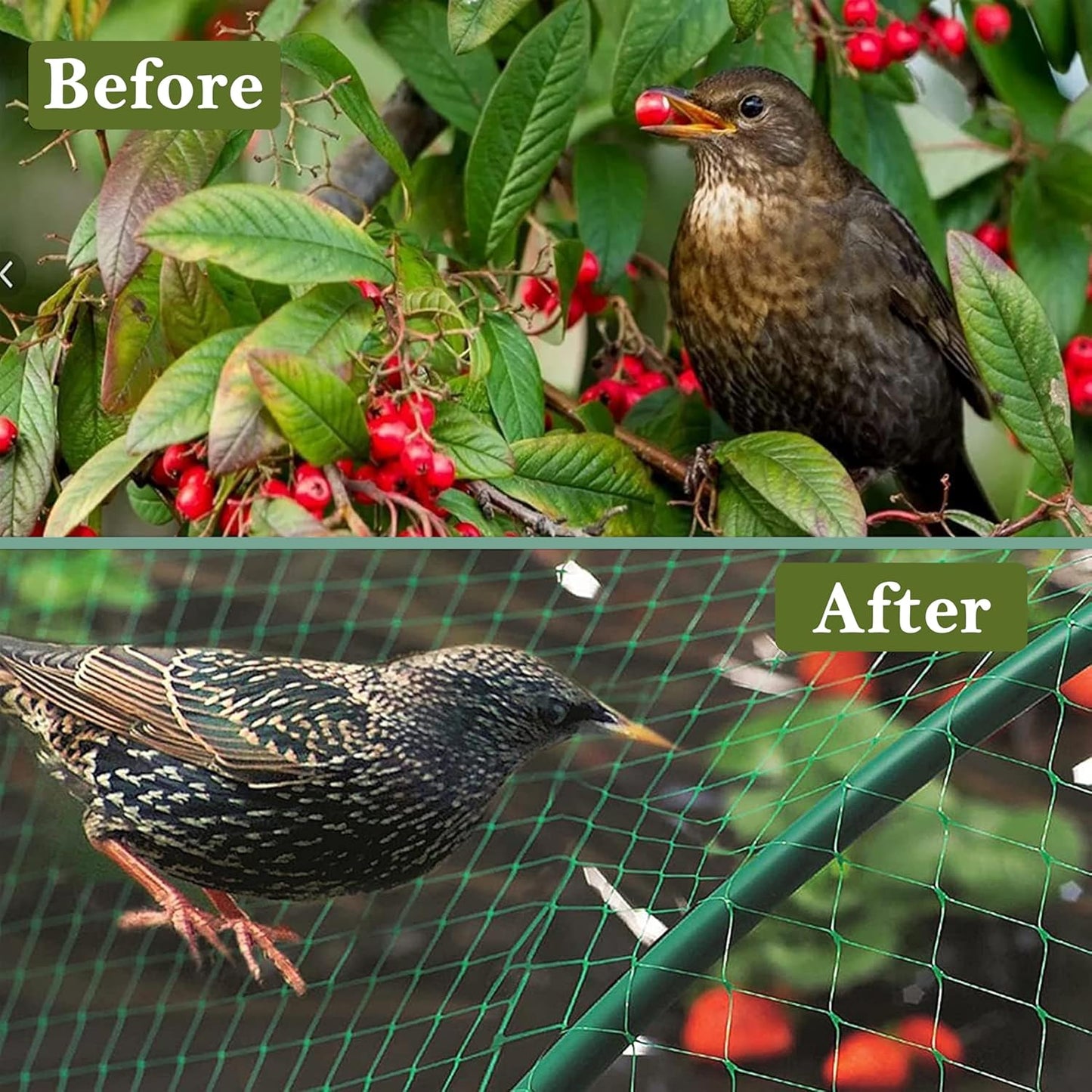 Fine Garden Netting, Plant, Veg, Fruit and Ponds Protection, Cat and Bird Proof Garden Net, Versatile Fine Mesh Garden Netting, Garden Fence Netting, Garden Accessories (1 Pack,10x2M